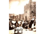 Outside Herod`s Gate, the entry into the north-eastern and mainly Moslem quarter of Old Jerusalem is the Sheep Market. The Sheep Gate, mentioned in Nehemiah is located north of the Temple Area.